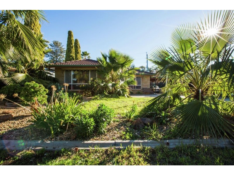 48 Adjin Street, Mount Austin NSW 2650