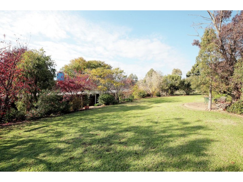 10 Norman Duck Avenue, San Isidore NSW 2650