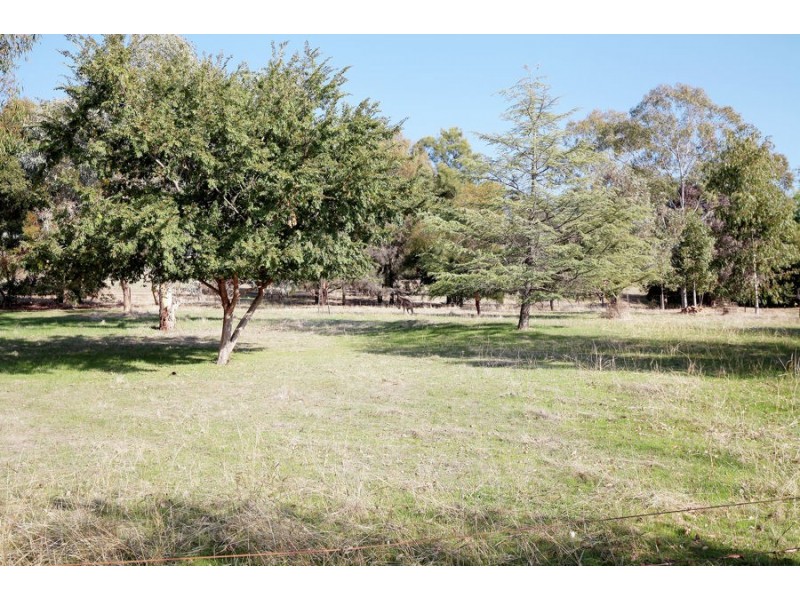 10 Norman Duck Avenue, San Isidore NSW 2650