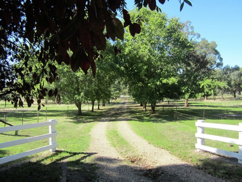 10 Norman Duck Avenue, San Isidore NSW 2650