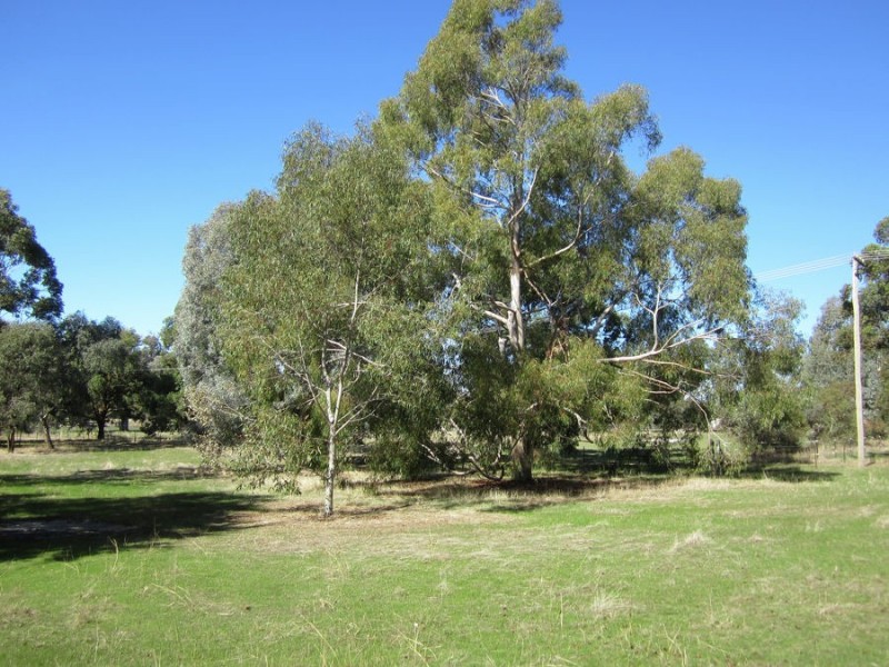 10 Norman Duck Avenue, San Isidore NSW 2650