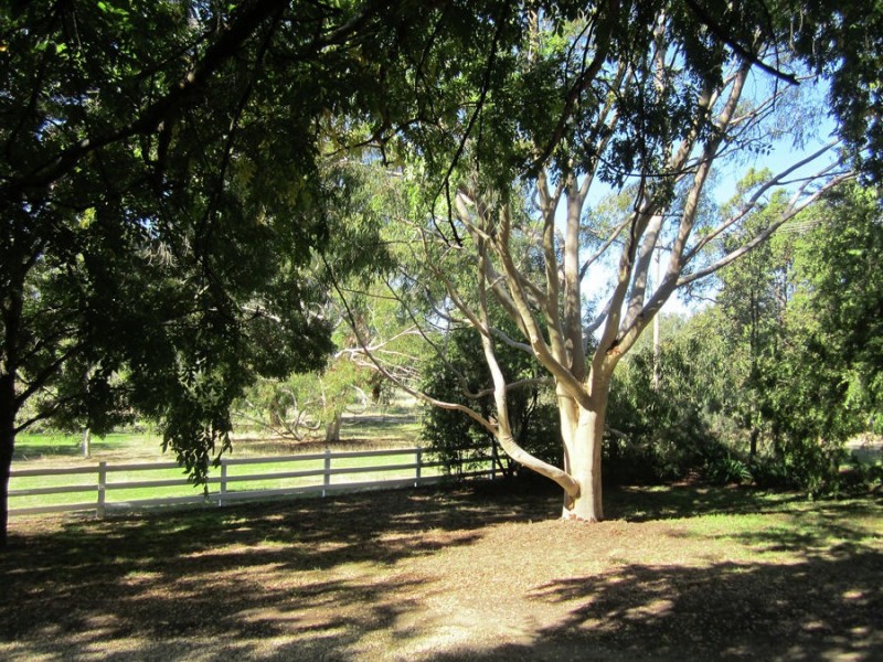 10 Norman Duck Avenue, San Isidore NSW 2650