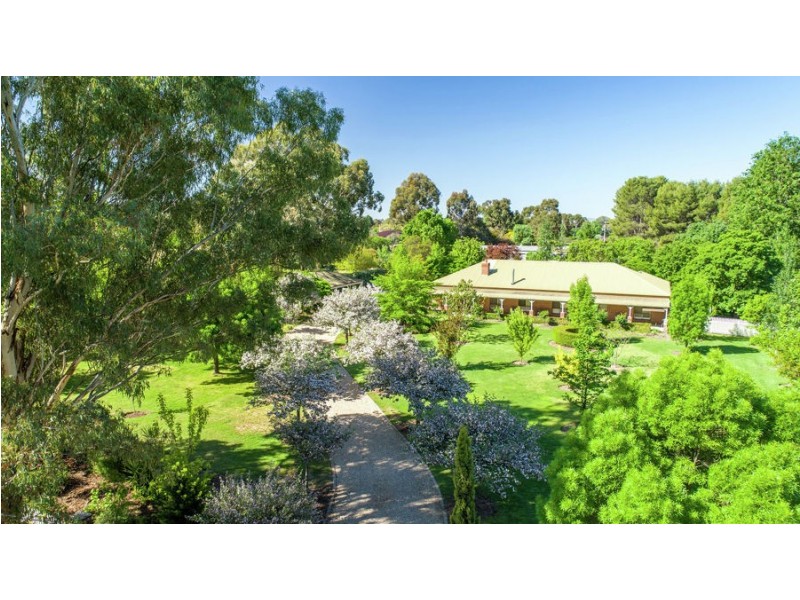 3 Hakea Place, Springvale NSW 2650