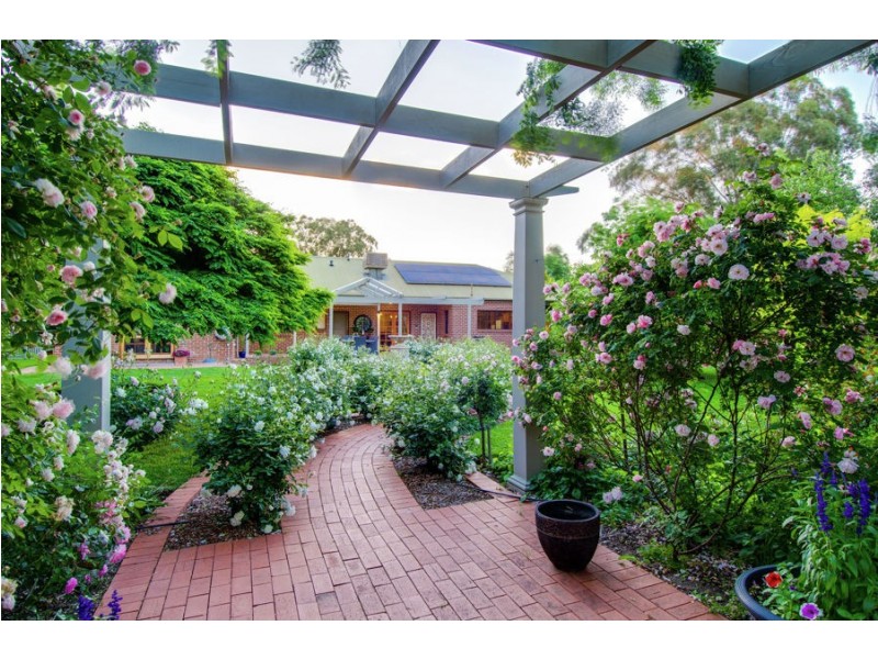 3 Hakea Place, Springvale NSW 2650