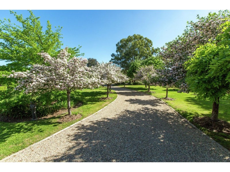 3 Hakea Place, Springvale NSW 2650