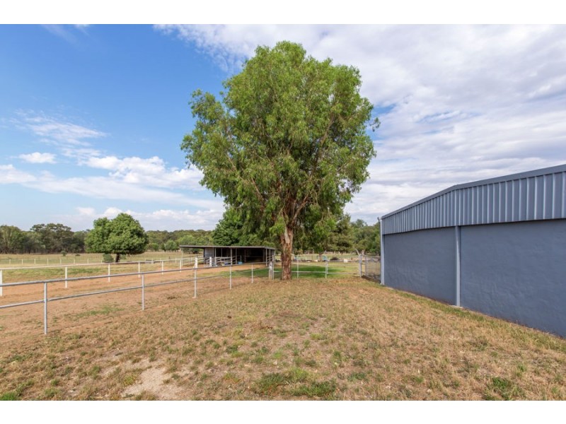 14 Silverwood Road, Lake Albert NSW 2650