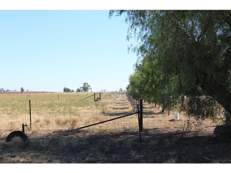 Lot 146 Cleek Street, Currawarna NSW 2650