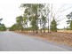 Lot 2 Wallace Street, Coolamon NSW 2701