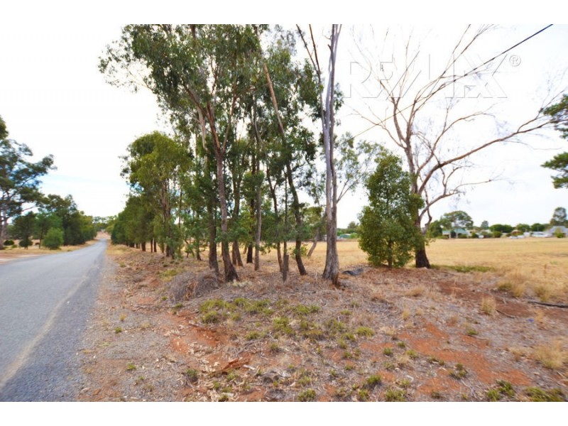 Lot 7 Iverach Street, Coolamon NSW 2701