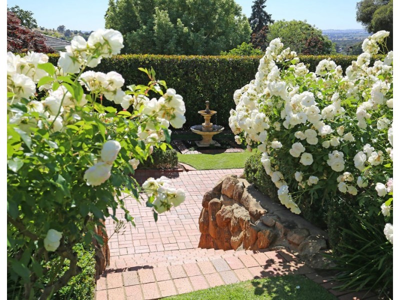 4 Bellevue Parade, Kooringal NSW 2650