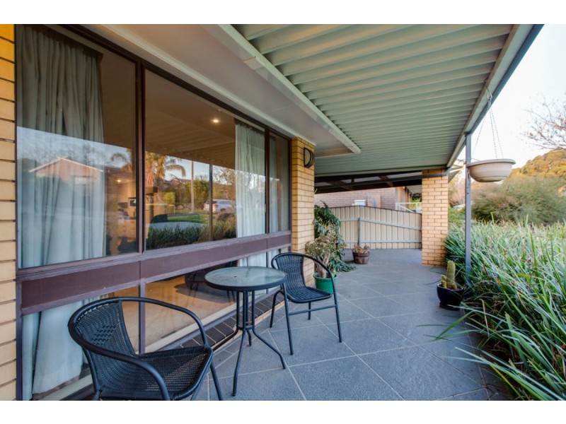 31 Alexander Street, Ashmont NSW 2650