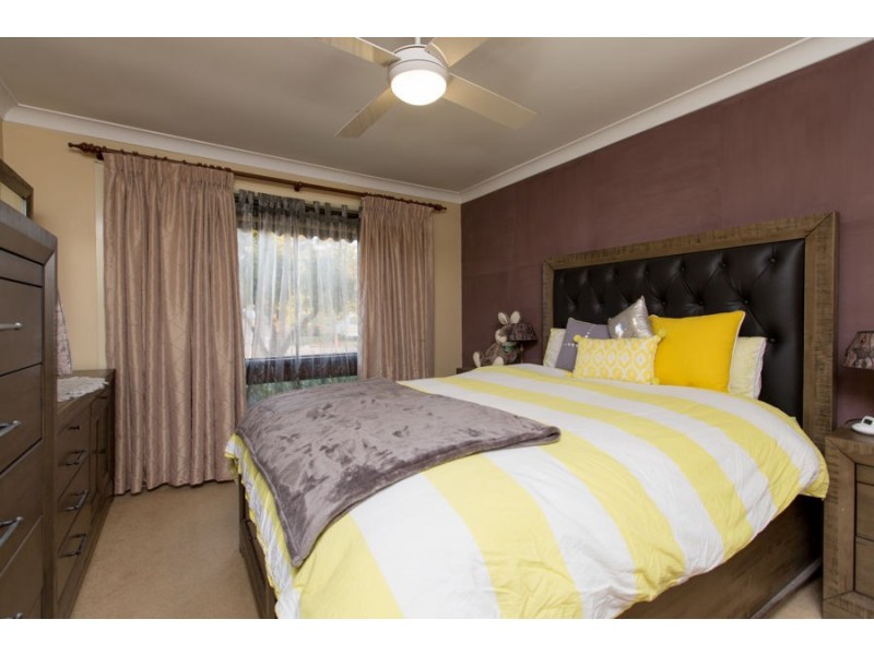 31 Alexander Street, Ashmont NSW 2650
