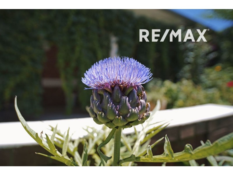 48 Best Street, Wagga Wagga NSW 2650