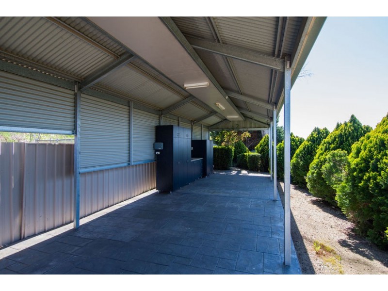 49 Henwood Avenue, Kooringal NSW 2650