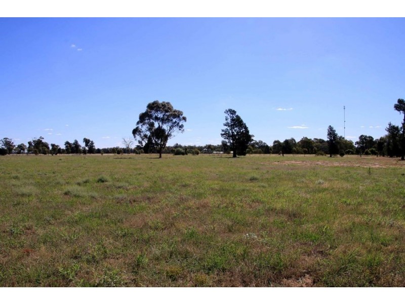 Lot 125 Treasure Street, Lockhart NSW 2656