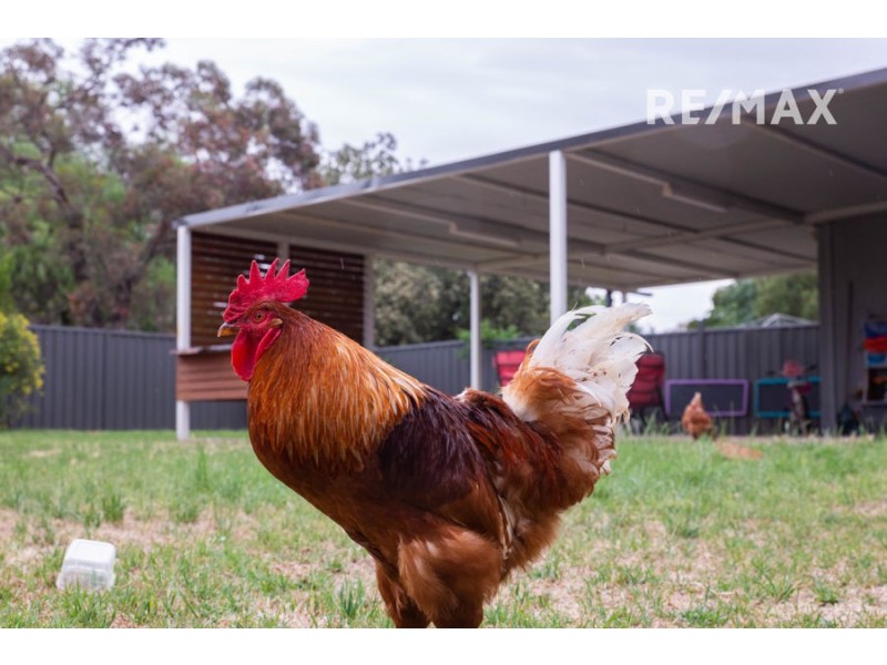 6 Hannah Street, Ganmain NSW 2702