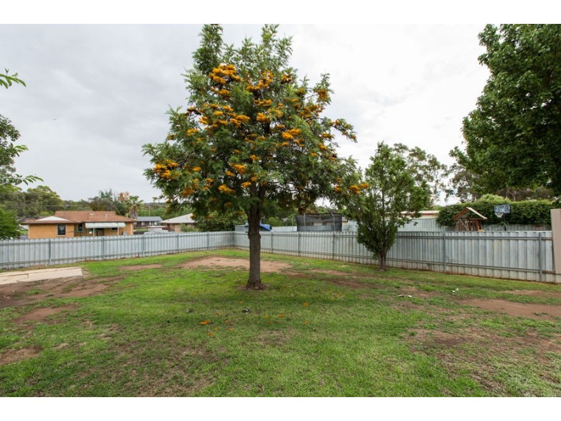 6 Callaghan Street, Ashmont NSW 2650