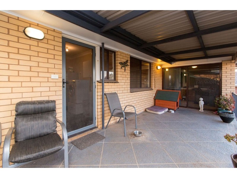 31 Alexander Street, Ashmont NSW 2650