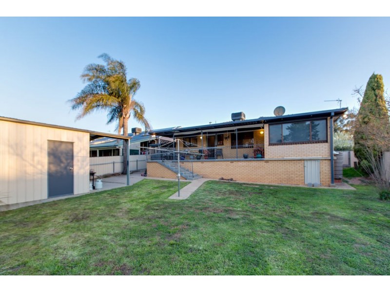 31 Alexander Street, Ashmont NSW 2650