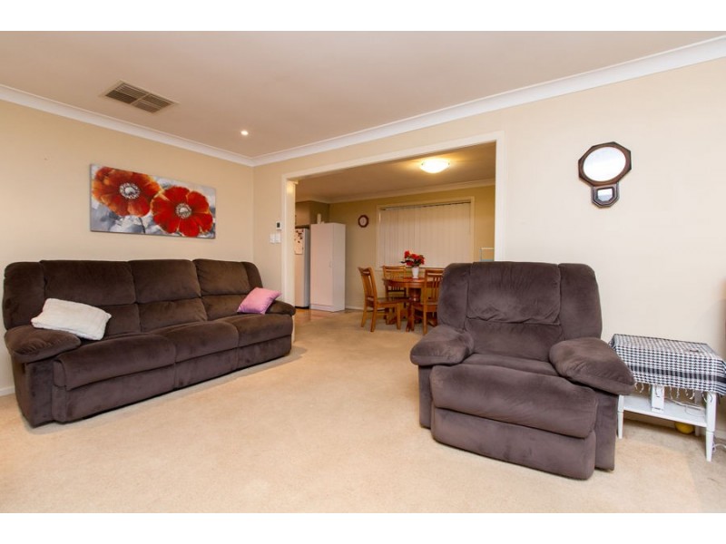 31 Alexander Street, Ashmont NSW 2650