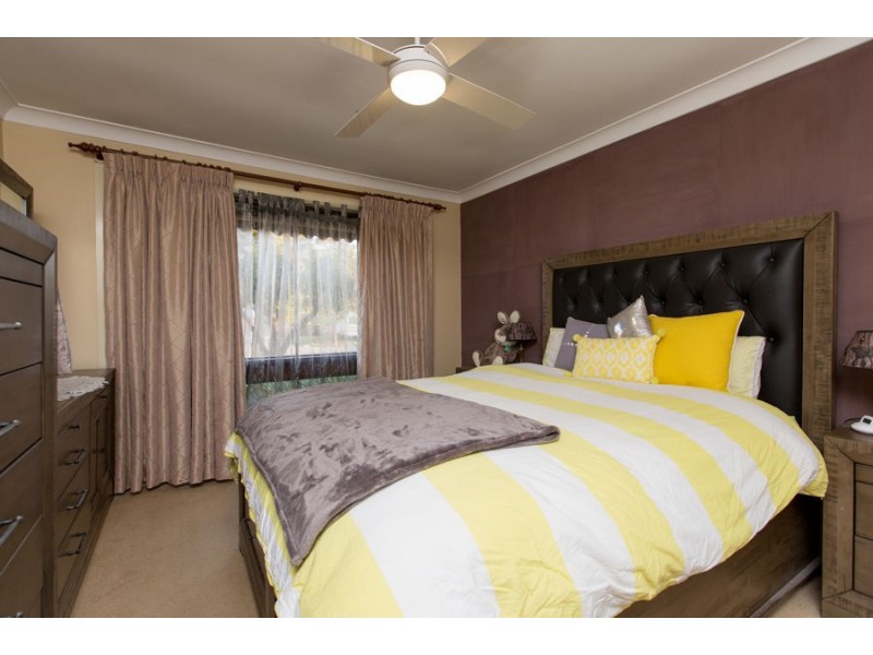 31 Alexander Street, Ashmont NSW 2650