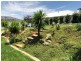 58 Franklin Drive, Estella NSW 2650