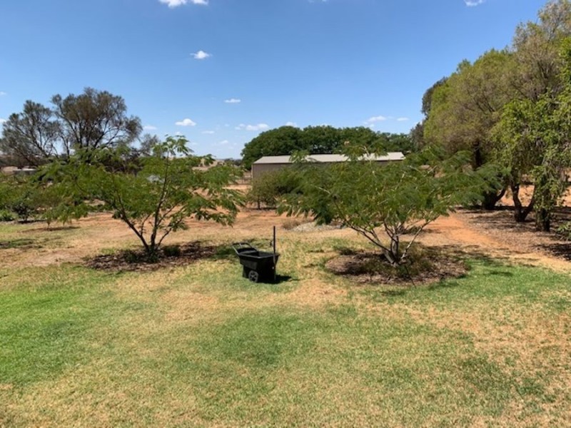 301a Collingullie Road, The Rock NSW 2655