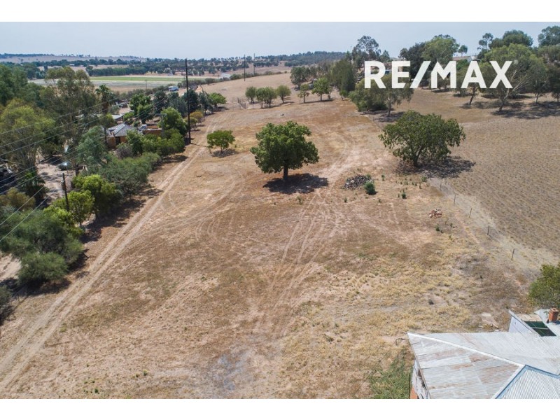 41 Hillary Street, North Wagga Wagga NSW 2650