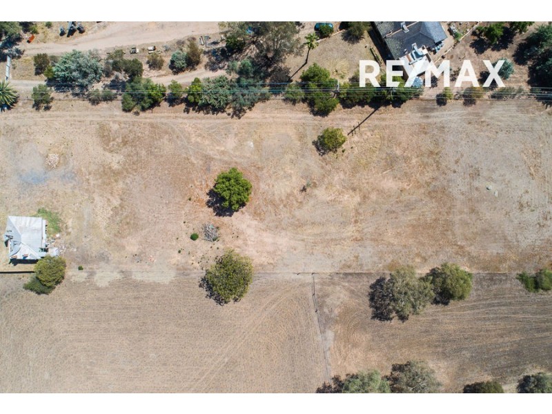 41 Hillary Street, North Wagga Wagga NSW 2650