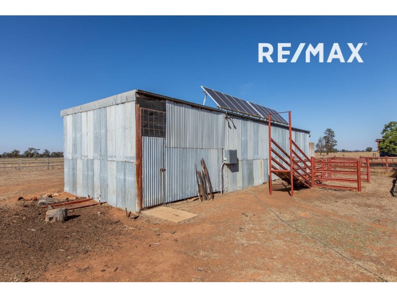 119 Gradys Lane, Coolamon NSW 2701