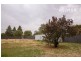 6 Hannah Street, Ganmain NSW 2702