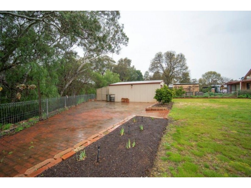 12 Norman Street, The Rock NSW 2655