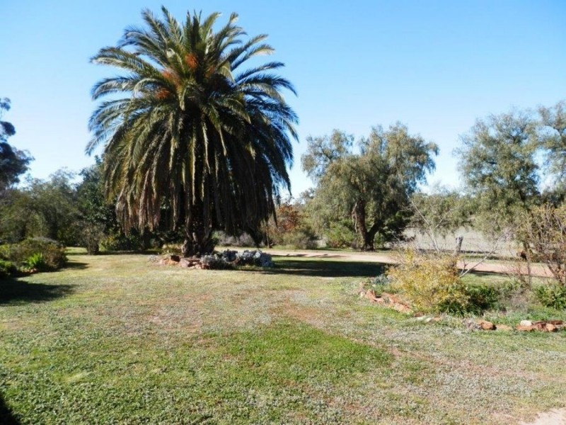 1392 County Boundary Road, Milbrulong NSW 2656