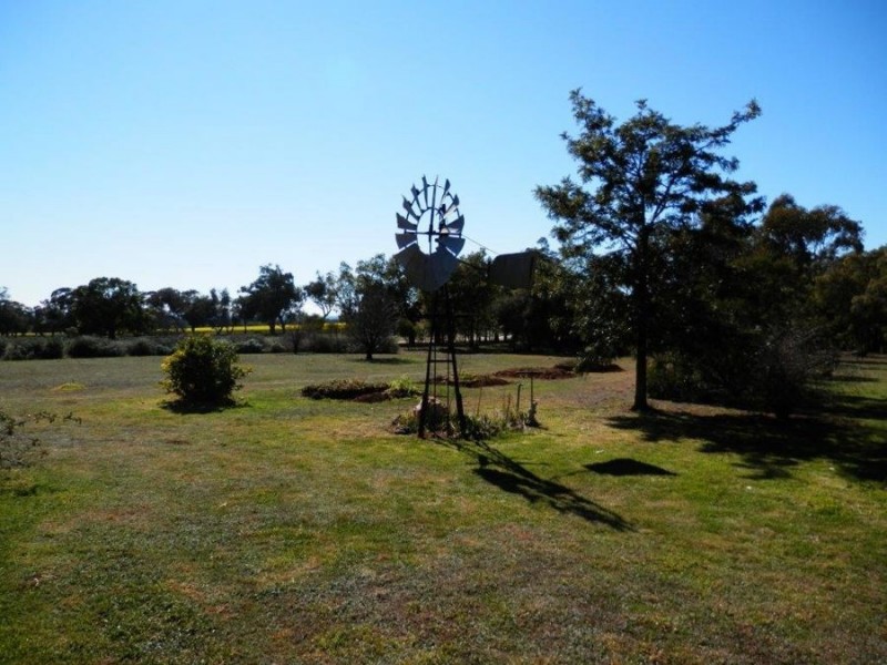 1392 County Boundary Road, Milbrulong NSW 2656