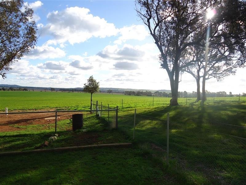 6318 Olympic Highway, Uranquinty NSW 2652