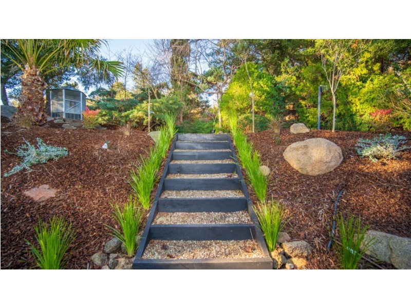 62 Churchill Avenue, Kooringal NSW 2650