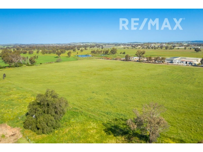 21 Tasman Road, East Wagga Wagga NSW 2650