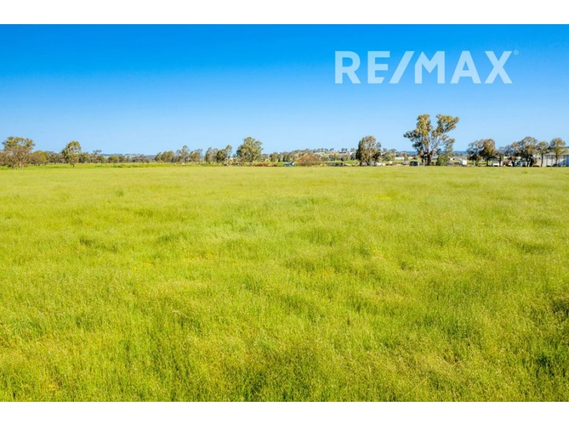 21 Tasman Road, East Wagga Wagga NSW 2650