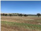 922 O’Briens Creek Road, Maxwell NSW 2650