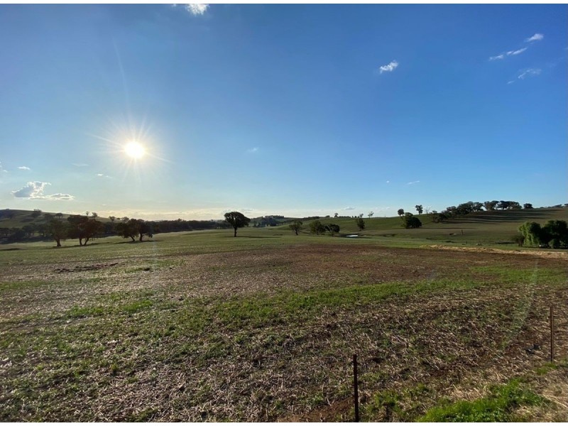 922 O’Briens Creek Road, Maxwell NSW 2650