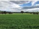 922 O’Briens Creek Road, Maxwell NSW 2650
