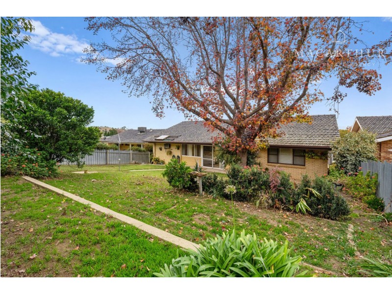 36 Wilks Avenue, Kooringal NSW 2650