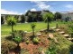 58 Franklin Drive, Estella NSW 2650