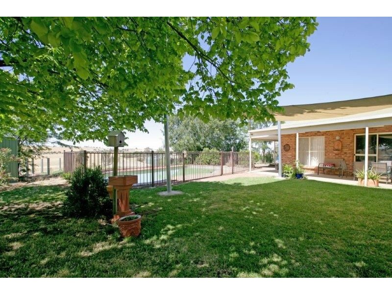 131 Albert St, Junee NSW 2663