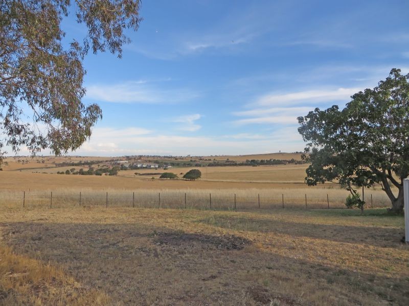 131 Albert St, Junee NSW 2663