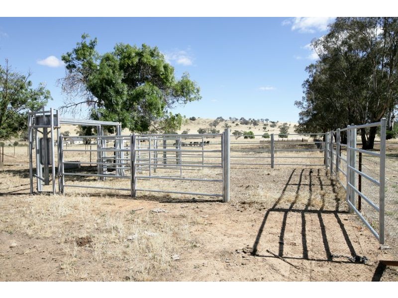 3521 Oura Road, Wantabadgery NSW 2650