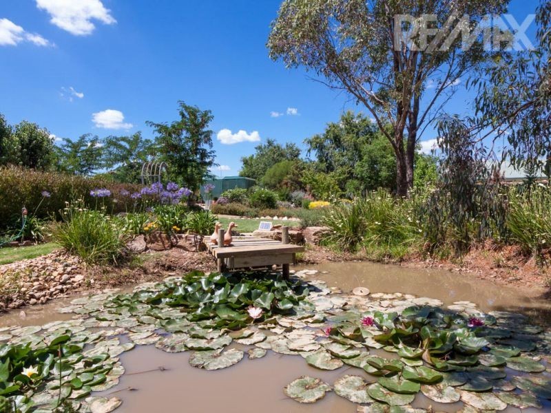 14 Evangelist Avenue, Lake Albert NSW 2650