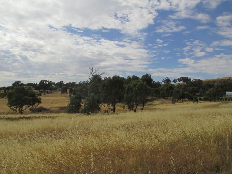 21 Kunzea Place, Springvale NSW 2650