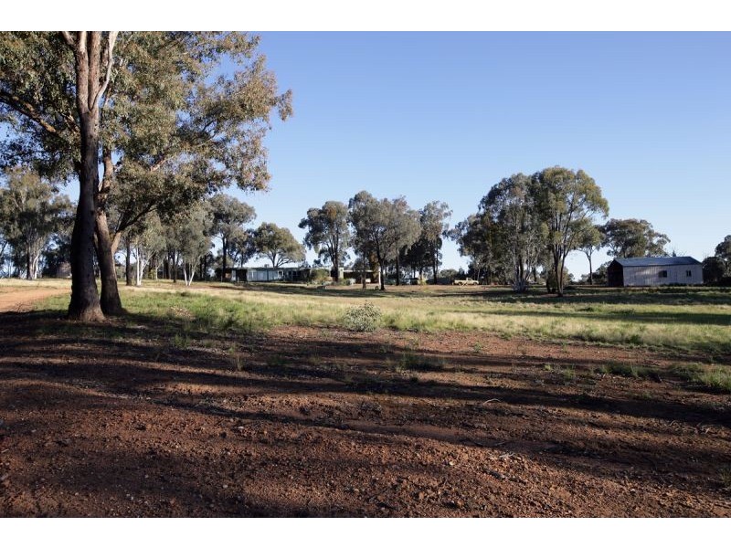 196 Barcoo Lane, Big Springs NSW 2650