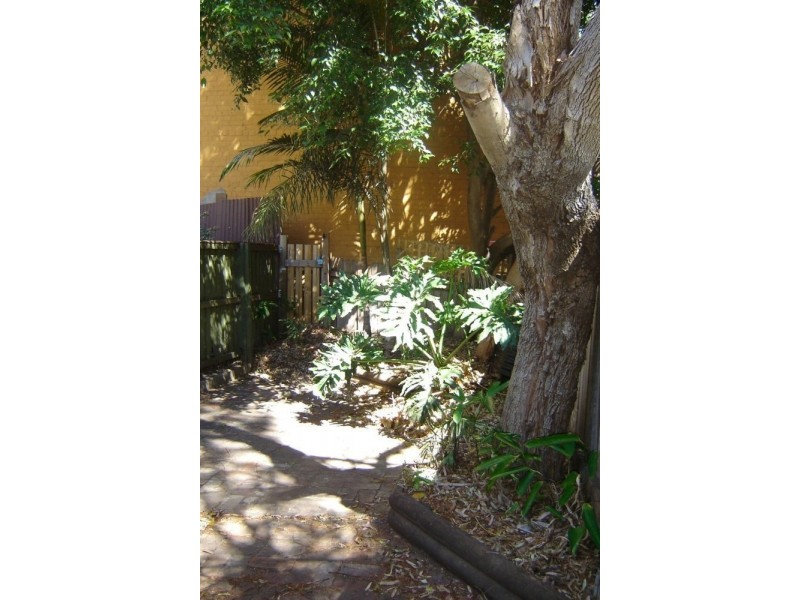 103 Goodlet Street, Surry Hills NSW 2010